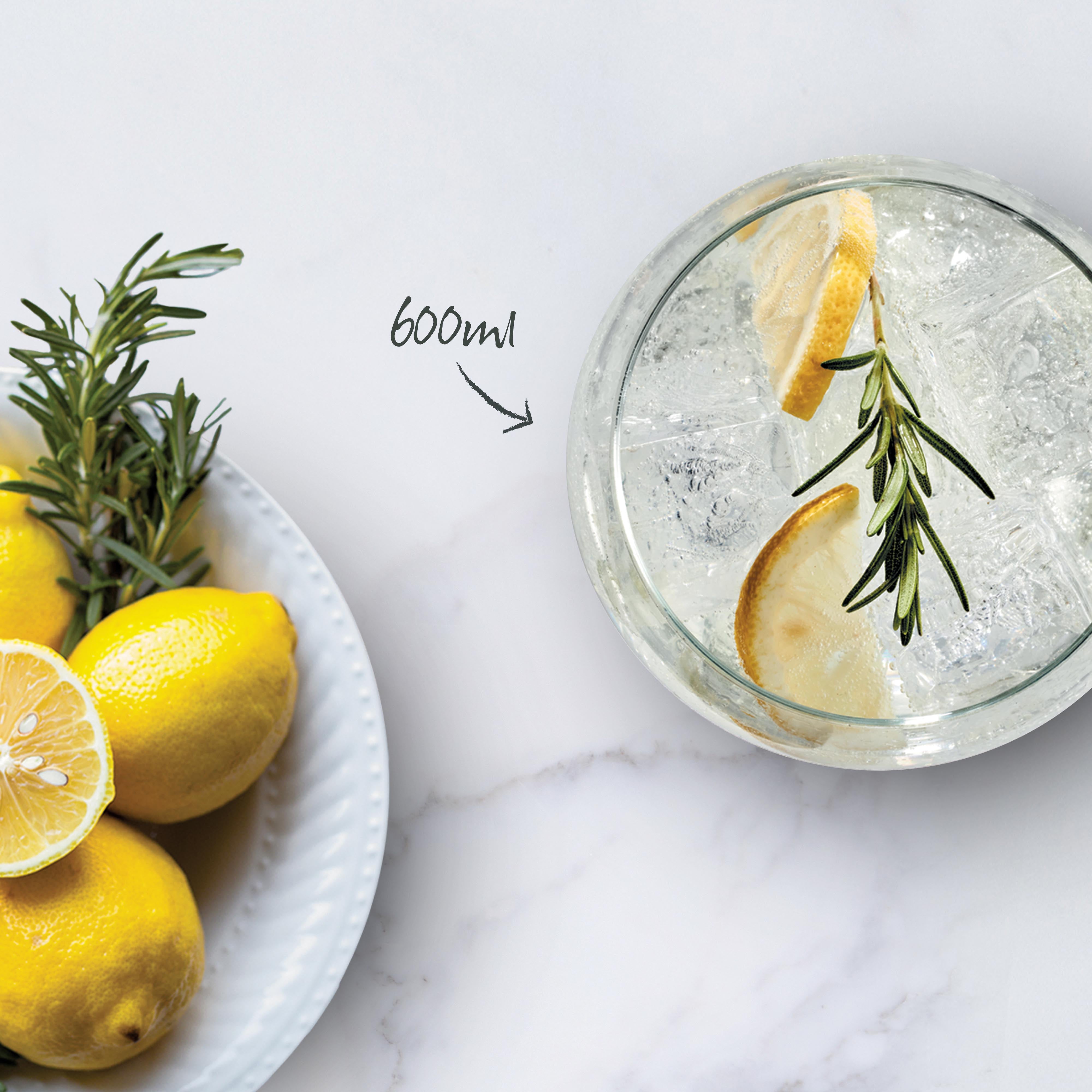 Salute Gin  600ml Set of 2