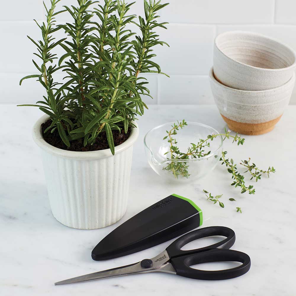 Staysharp Scissors