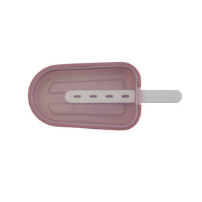 Silicone Ice Block Mould - set of 4 with lids